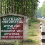 Bankura-Joypur-Forest
